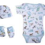 Boys Baby Gift Set